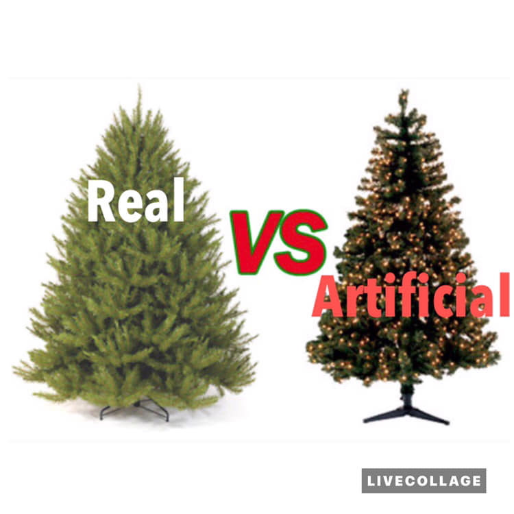 Artificial Or Fake